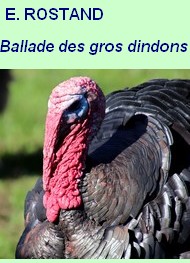 Illustration: Ballade des gros dindons - Edmond Rostand