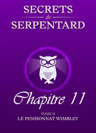 Illustration: Secrets de Serpentards-Tome 2 Chapitre 11 - Mathilde Vouin