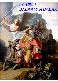 Illustration: Les Nombres, Chapitres 22, 23 et 24 Trad.Louis Segond - la bible