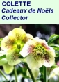 Les Cadeaux de Noël