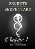 Mathilde Vouin: Secrets de Serpentards-Tome 3 Chapitre 1