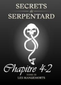 Mathilde Vouin: Secrets de Serpentards-Tome 3 Chapitre 4 partie 2