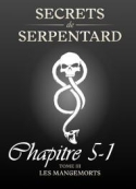 Mathilde Vouin: Secrets de Serpentards-Tome 3 Chapitre 5 partie 1