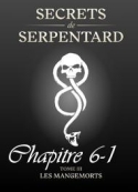 Mathilde Vouin: Secrets de Serpentards-Tome 3 Chapitre 6 partie 1