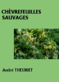 Chèvrefeuilles sauvages