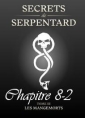 Secrets de Serpentards-Tome 3 Chapitre 8 partie 2