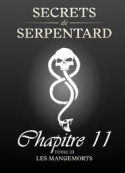 Mathilde Vouin: Secrets de Serpentards-Tome 3 Chapitre 11