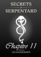 Secrets de Serpentards-Tome 3 Chapitre 11