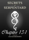 Mathilde Vouin: Secrets de Serpentards-Tome 3 Chapitre 13 partie 1