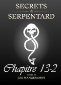 Mathilde Vouin: Secrets de Serpentards-Tome 3 Chapitre 13 partie 2