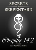 Mathilde Vouin: Secrets de Serpentards-Tome 3 Chapitre 14 partie 2