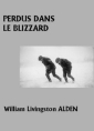 Perdus dans le blizzard