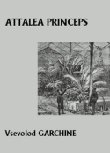 Vsevolod Garchine: Attalea princeps
