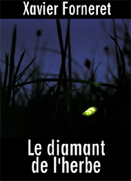 Illustration: Le diamant de l'herbe - Xavier Forneret