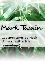 Illustration: Les aventures de Huck Finn(chapitre 9 le sauvetage) - Mark Twain
