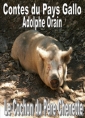 Livre audio: Adolphe Orain - Contes du Pays Gallo-Le Cochon du Père Chenette