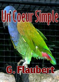 Gustave Flaubert  - un coeur simple