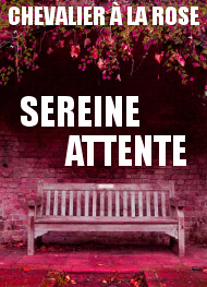 Illustration: Sereine attente - Chevalier à la Rose