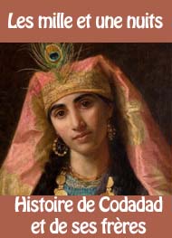 Illustration: Histoire de Codadad et de ses frères - Les 1001 nuits