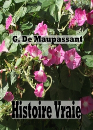 Illustration: histoire vraie - Guy de Maupassant