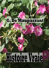 Illustration: histoire vraie - Guy  de Maupassant 