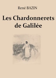 Illustration: Les Chardonnerets de Galilée - René Bazin
