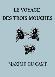 Illustration: Le Voyage des trois mouches - Maxime Du camp