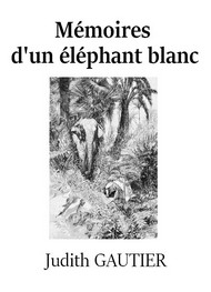 Illustration: Mémoires d'un éléphant blanc - 
