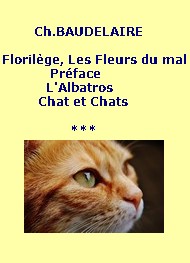 Illustration: Préface(Fleurs du mal), L'Albatros, Chat(s) - Charles Baudelaire