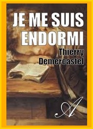 Illustration: Je me suis endormi - Thierry Demercastel