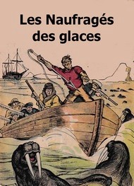 Illustration: Les Naufragés des glaces  - Henry de  Graffigny