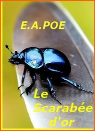 Illustration: Le scarabée d'or - edgar allan poe