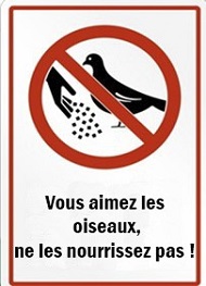 Ahikar - Nasreddine – Vous aimez les oiseaux, ne les nourrissez pas !