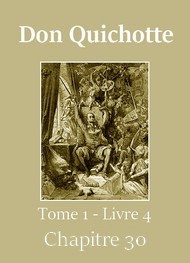 Illustration: Don Quichotte (Tome 01-Livre 04-Chapitre 30) Version 2 -