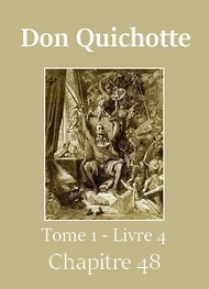 Illustration: Don Quichotte (Tome 01-Livre 04-Chapitre 48) Version 2 -