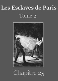 Illustration: Les Esclaves de Paris – Tome 2 –Chapitre 25 - Emile Gaboriau