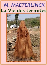 Illustration: La Vie des termites - Maurice Maeterlinck