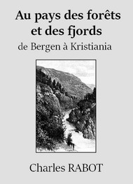 Illustration: Au pays des forêts et des fjords, de Bergen à Kristiana - 