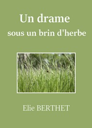 Illustration: Un drame sous un brin d'herbe - Elie Berthet