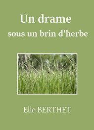 Elie Berthet - Un drame sous un brin d'herbe