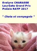 Evelyne Charasse: Chats et compagnie