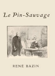 Illustration: Le Pin sauvage - René Bazin