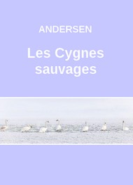 Illustration: Les Cygnes sauvages (Version 2) - Hans Christian Andersen