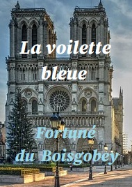 Illustration: La voilette bleue - Fortuné Du boisgobey
