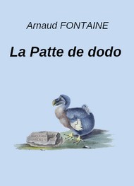 Illustration: La Patte de dodo - Arnaud Fontaine