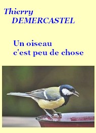Illustration: Un oiseau c'est peu de chose - Thierry Demercastel
