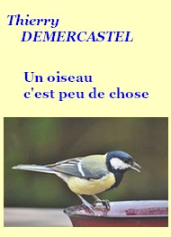 Thierry Demercastel - Un oiseau c'est peu de chose