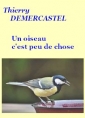 Thierry Demercastel: Un oiseau c'est peu de chose