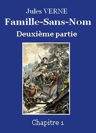 Jules Verne - Famille-Sans-Nom - Deuxième partie  -  Chapitre 01