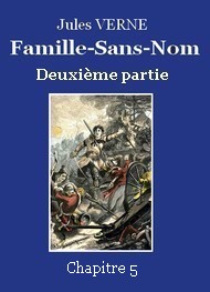 Illustration: Famille-Sans-Nom - Deuxième partie – Chapitre 05 - Jules Verne